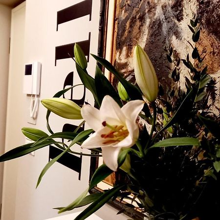 都灵Sky Loft Nuovissimo Vicinanze Metro公寓 外观 照片