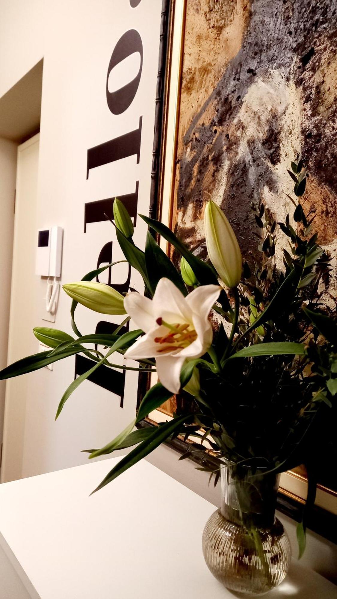 都灵Sky Loft Nuovissimo Vicinanze Metro公寓 外观 照片